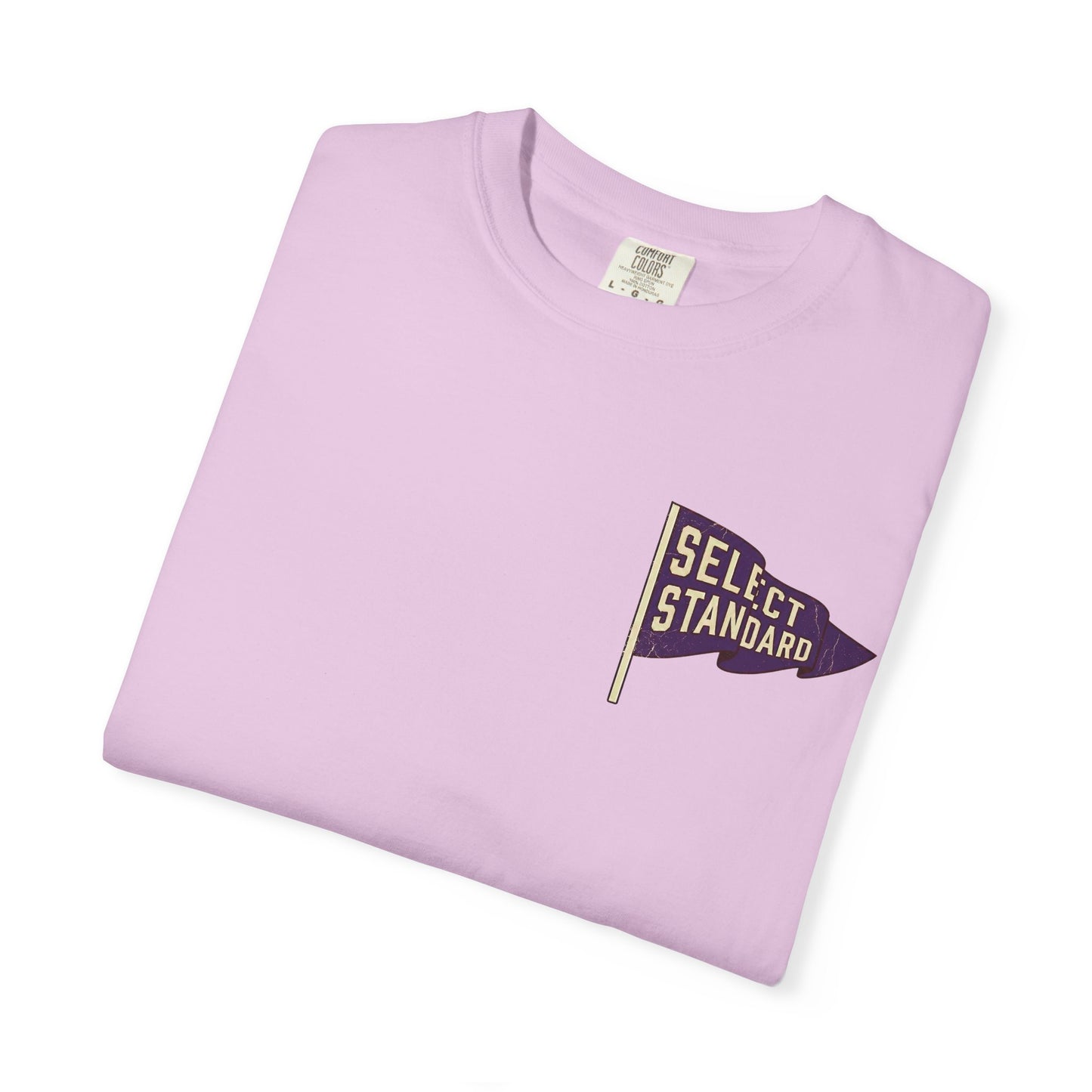 Vintage Purple Pennant T-Shirt