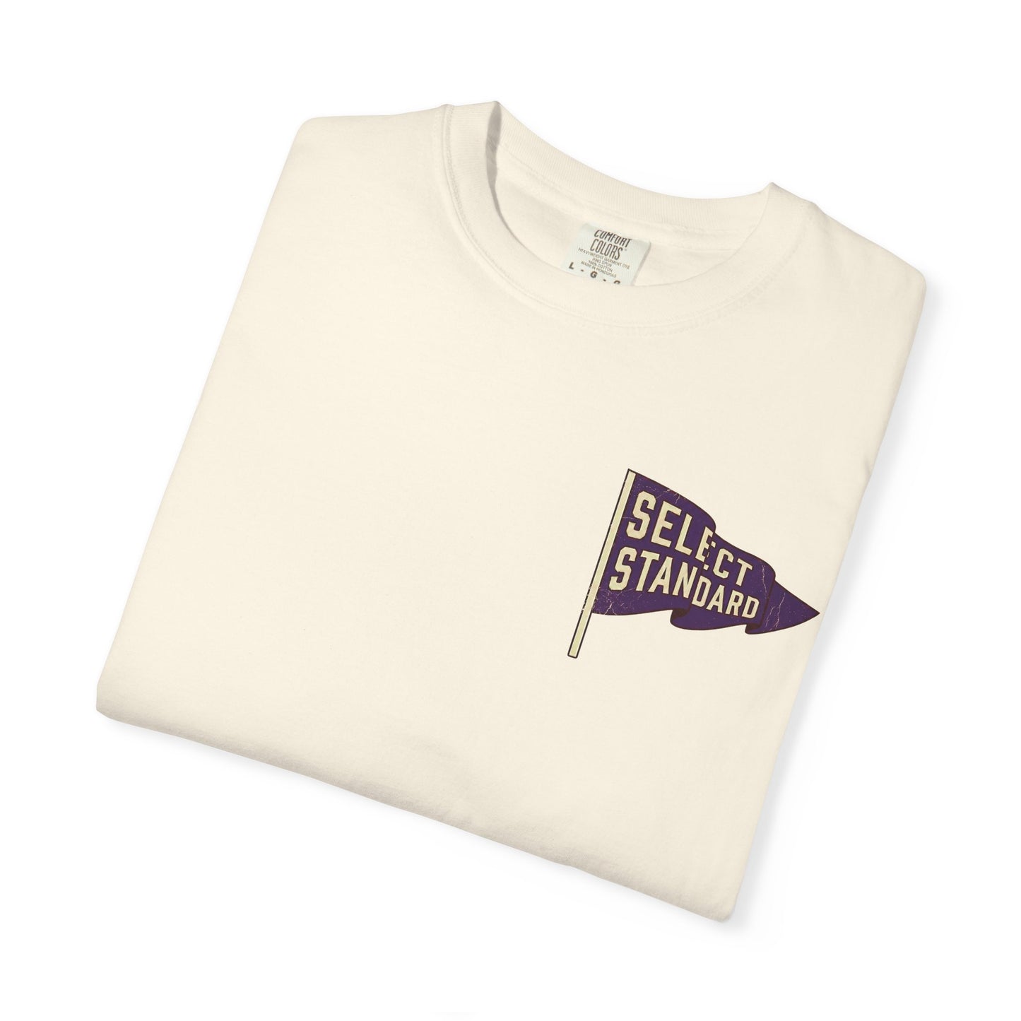 Vintage Purple Pennant T-Shirt