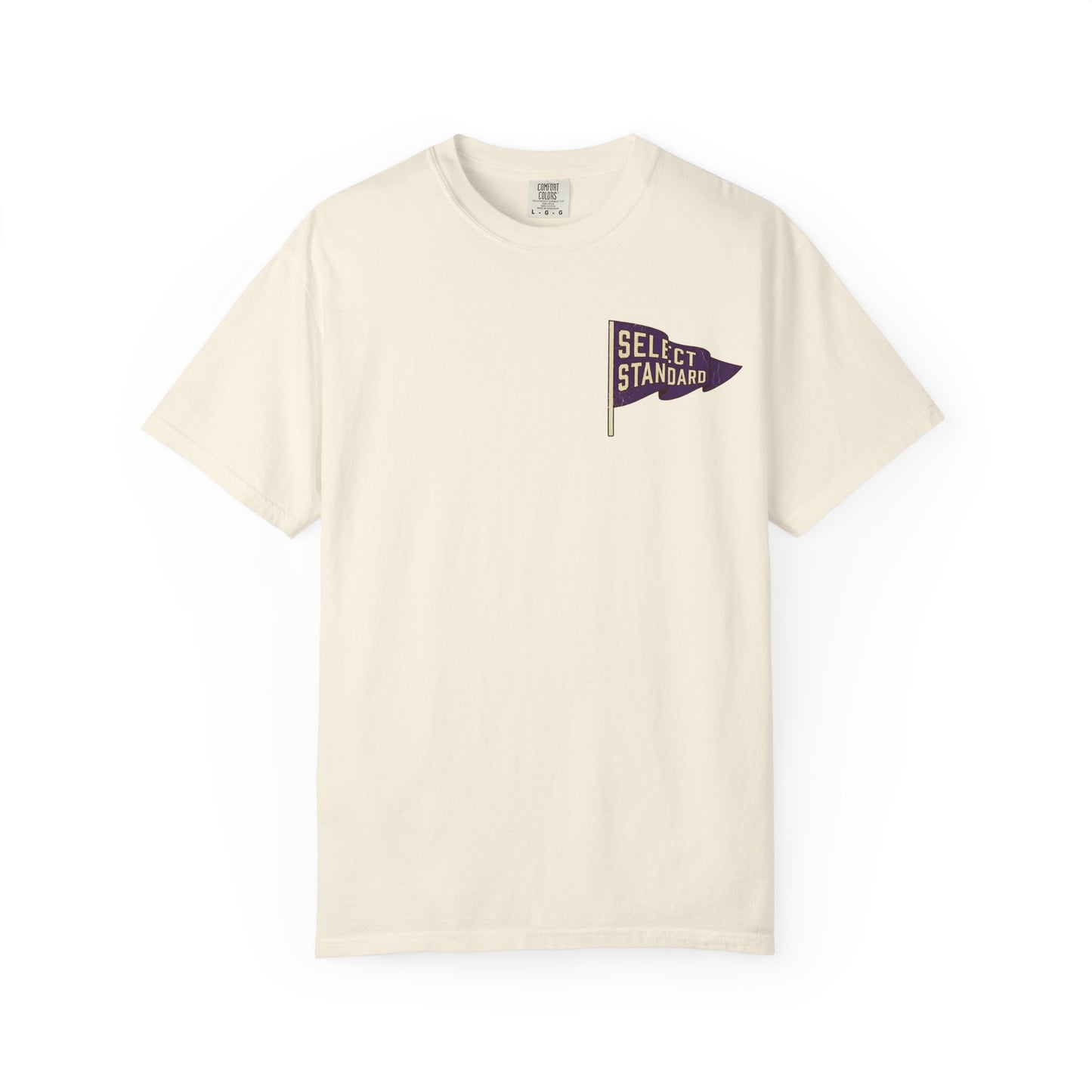 Vintage Purple Pennant T-Shirt